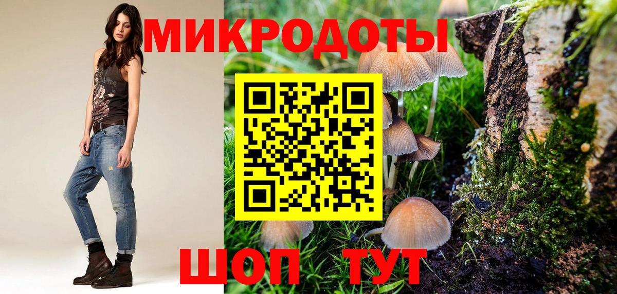 Псилоцибиновые грибы Cubensis Десногорск